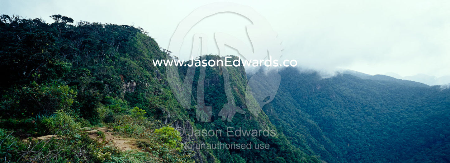 Vast Montane Cloud Forest clings to the cliff face at Worlds End. Horton Plains National Park, Sri Lanka.