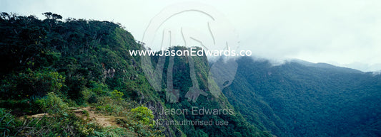 Vast Montane Cloud Forest clings to the cliff face at Worlds End. Horton Plains National Park, Sri Lanka.
