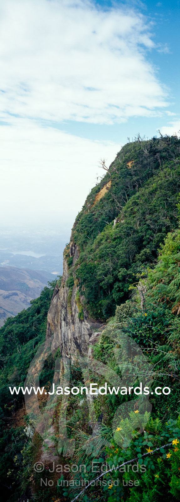Vast Montane Cloud Forest clings to the cliff face at Worlds End. Horton Plains National Park, Sri Lanka.