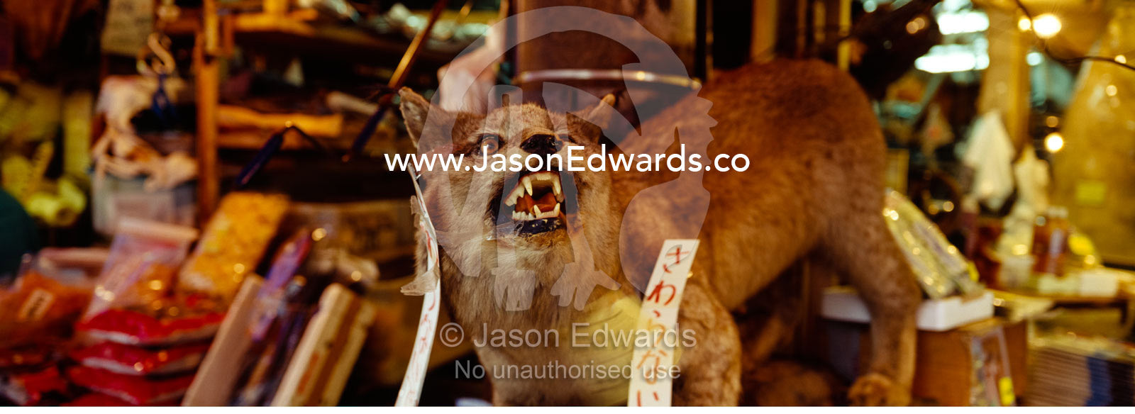 A traditional medicine shop selling an endangered Northern Lynx. Tsukiji Fish Market, Tokyo, Japan.