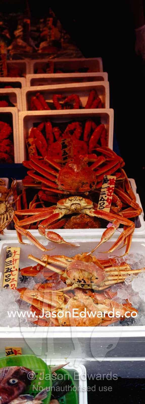 Huge red crabs and fresh seafood for sale in the Tsukiji Fish Market. Tsukiji Fish Market, Tokyo, Japan.