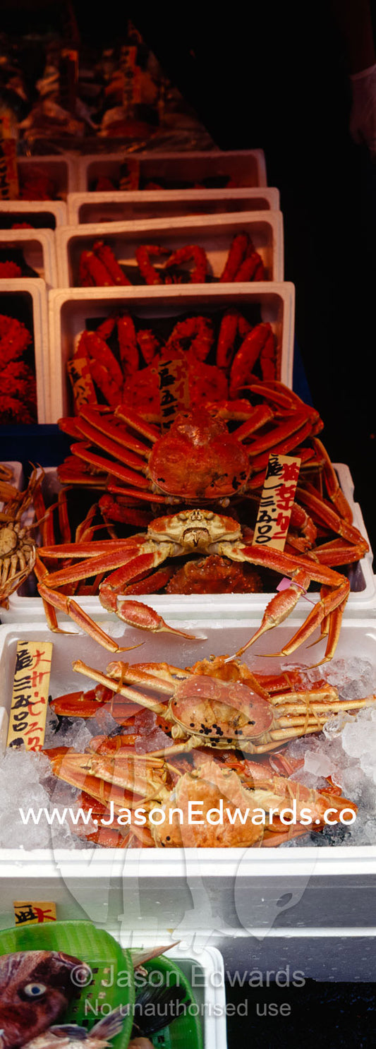 Huge red crabs and fresh seafood for sale in the Tsukiji Fish Market. Tsukiji Fish Market, Tokyo, Japan.
