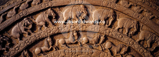 Ancient carvings in Moonstones often depict Elephants and horses. Polonnaruwa Ancient City,  Sri Lanka.