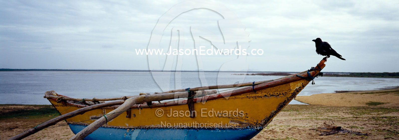 A raven rests on the bow of a small fishing boat on a remote coast. Bundala National Park, Sri Lanka.