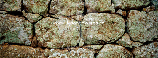 Detail of an ancient handmade stone wall covered in lime green lichens Sigiriya Lion Rock Fortress, Sri Lanka.