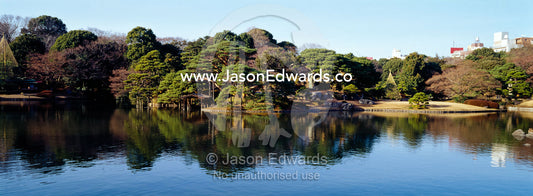 An ancient Japanese garden reflected in the still waters of a lake. Tokyo, Japan.