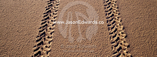 Motorbike tracks dissect the sands of a remote beach at low tide. South West Conservation Area, Tasmania, Australia.