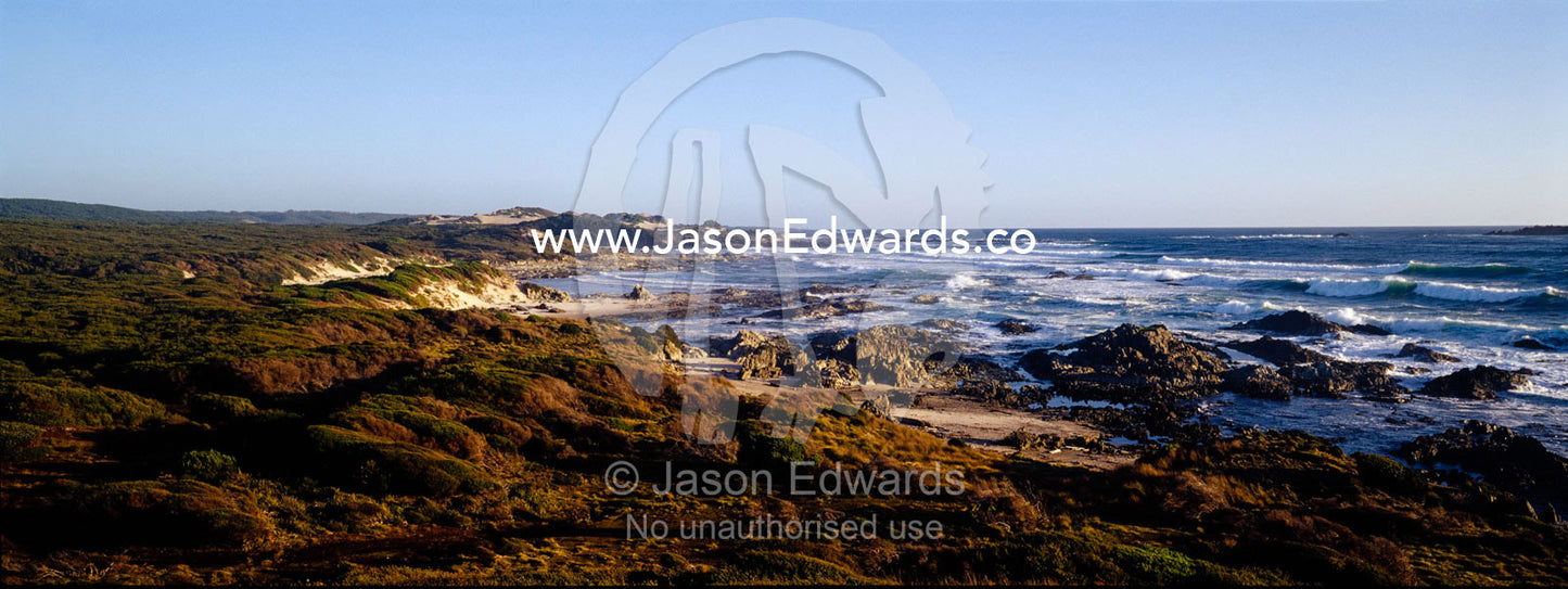 Sharp rocks and coastal heath greet the Southern Ocean in Tasmania. South West Conservation Area, Tasmania, Australia.