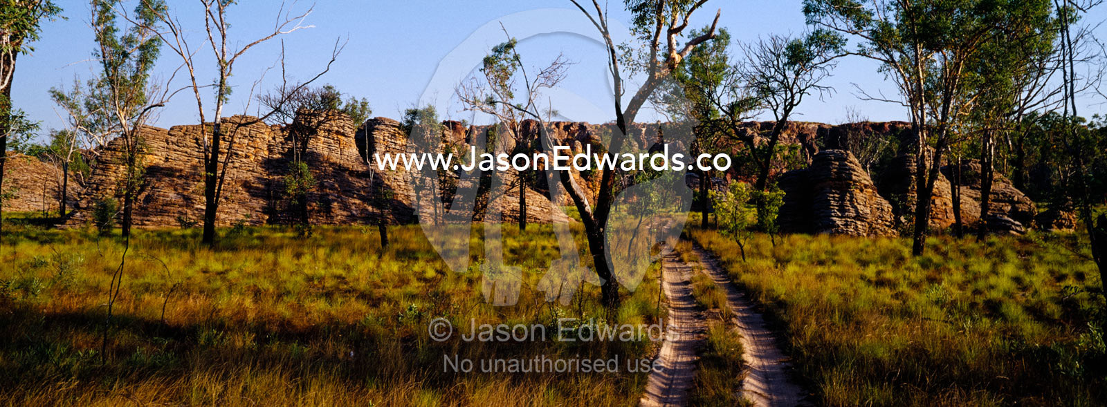 A desert track in open woodland and spinifex grasslands at sunset. Limmen National Park, Northern Territory, Australia.