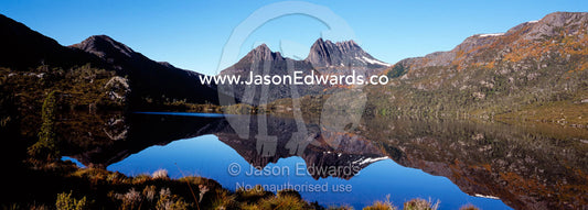 Cradle Mountain's forests of deciduous beech reflected in Dove Lake. Cradle Mountain Lake St Clair National Park, Tasmania, Australia.