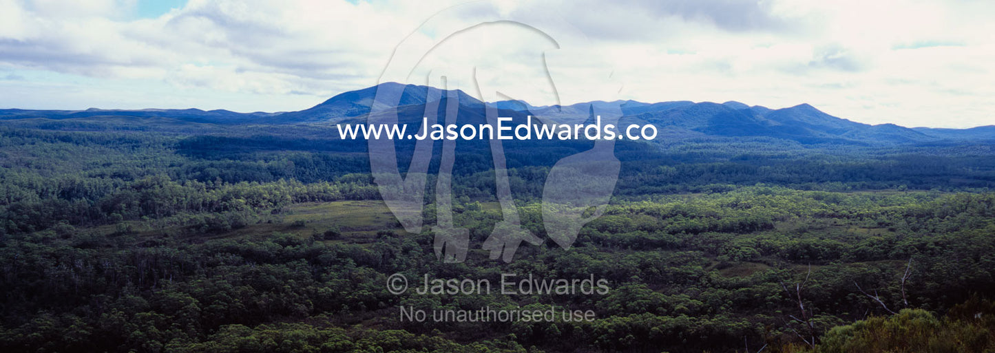 Mixed forest types cover a vast valley floor beneath a cloudy sky. Tarkine Wilderness Area, Tasmania, Australia.