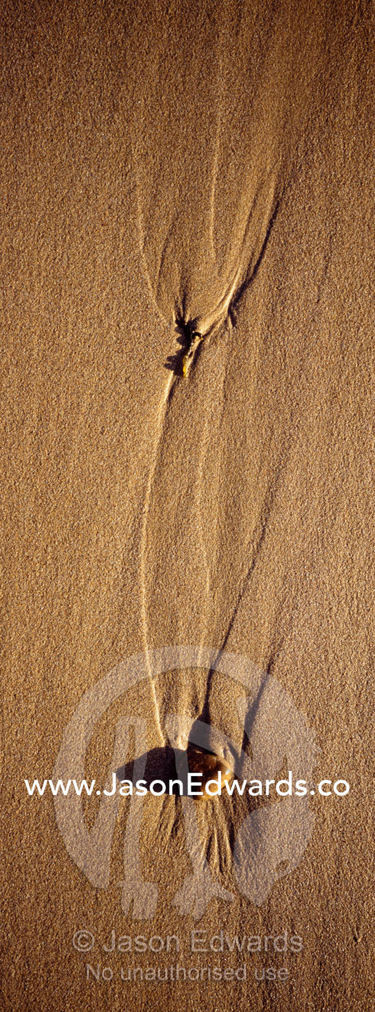 Receding waves leave tiny patterns trailing behind stones on a beach. Jan Juc, Victoria, Australia.