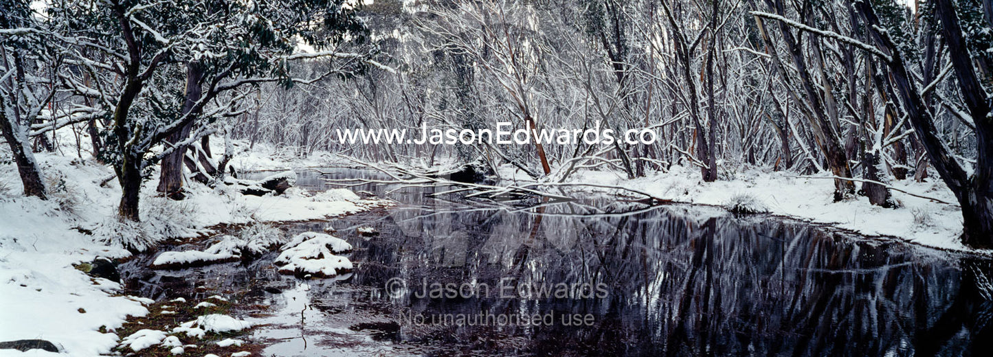 Light snow covers a forest of snow gum around a small alpine pool. Mount Hotham, Alpine National Park, Victoria, Australia.
