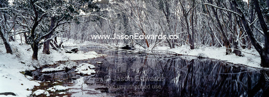 Light snow covers a forest of snow gum around a small alpine pool. Mount Hotham, Alpine National Park, Victoria, Australia.