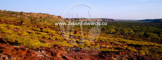 Open woodland and spinifex grasslands dominate a vast, ancient valley. Limmen National Park, Northern Territory, Australia.