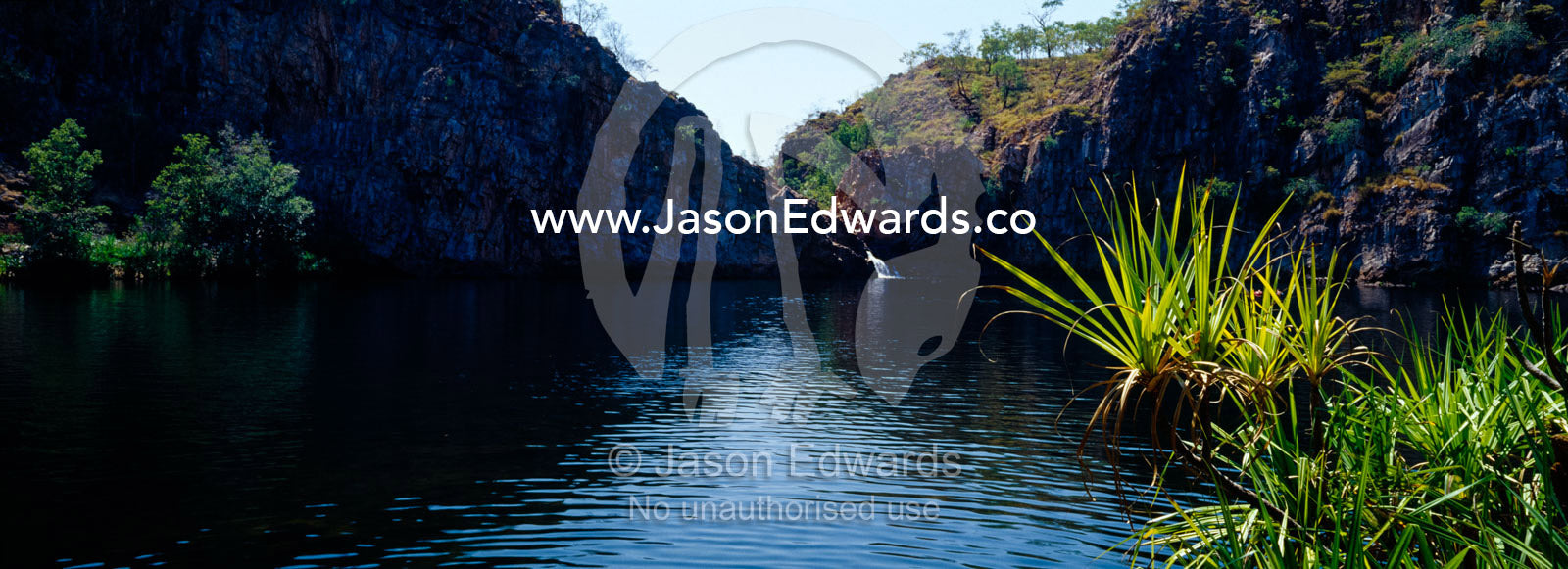 A waterfall and a sunlit frond of a pandanus palm near a waterhole. Nitmiluk, Katherine Gorge, National Park, Northern Territory, Australia.
