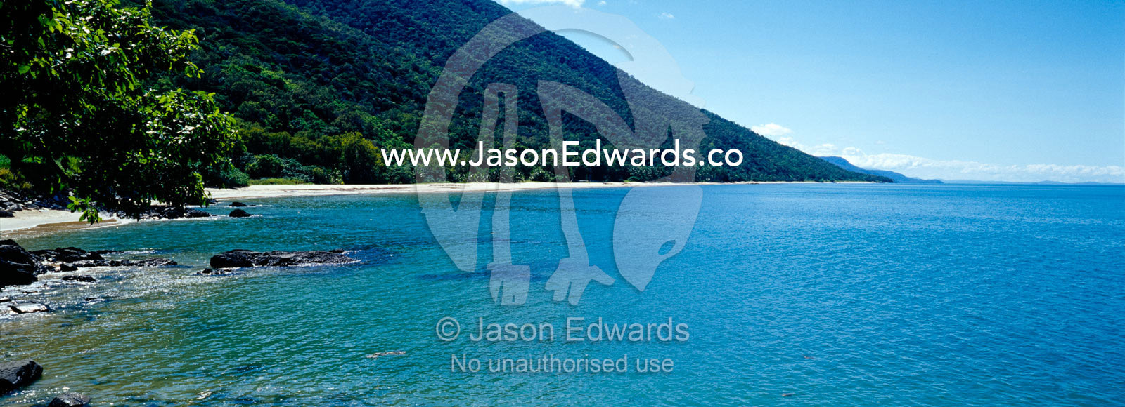 Dense tropical rainforest covered mountains run into turquoise seas. Cairns, Queensland, Australia.