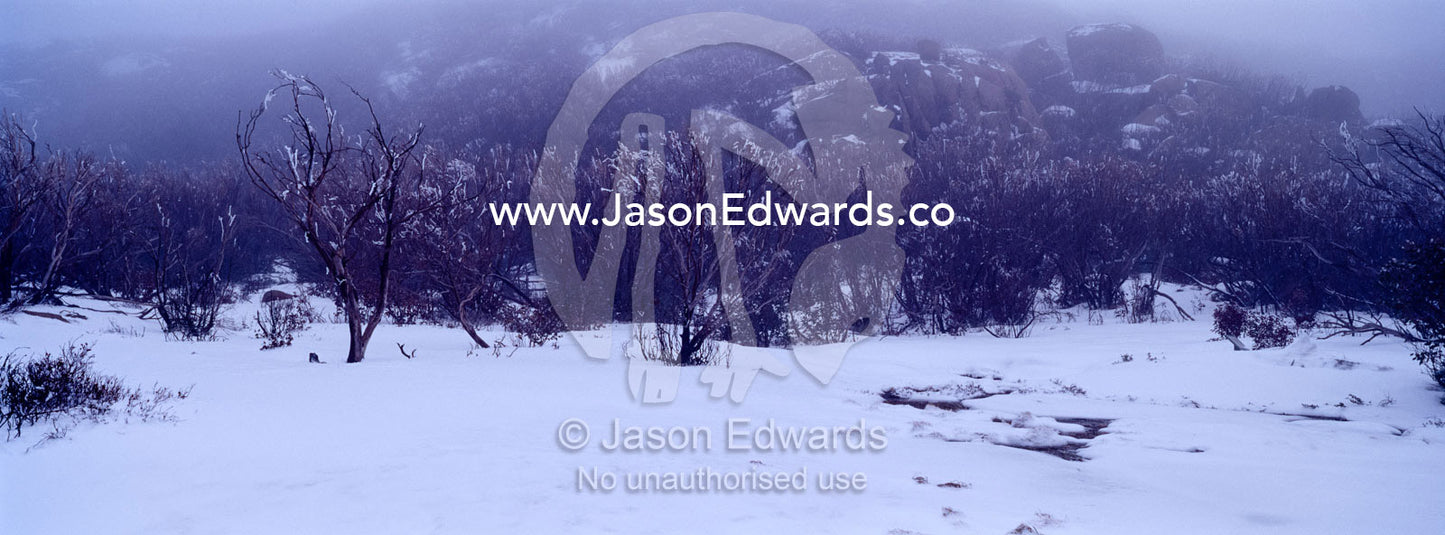 Snow descends on the crags and forests in Victoria's High Country. Mount Buffalo National Park, Victoria, Australia.