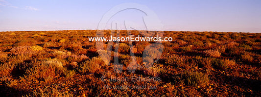 Sunset descends over the scorching Gibber Plains of the open desert. Sturt National Park, New South Wales, Australia.