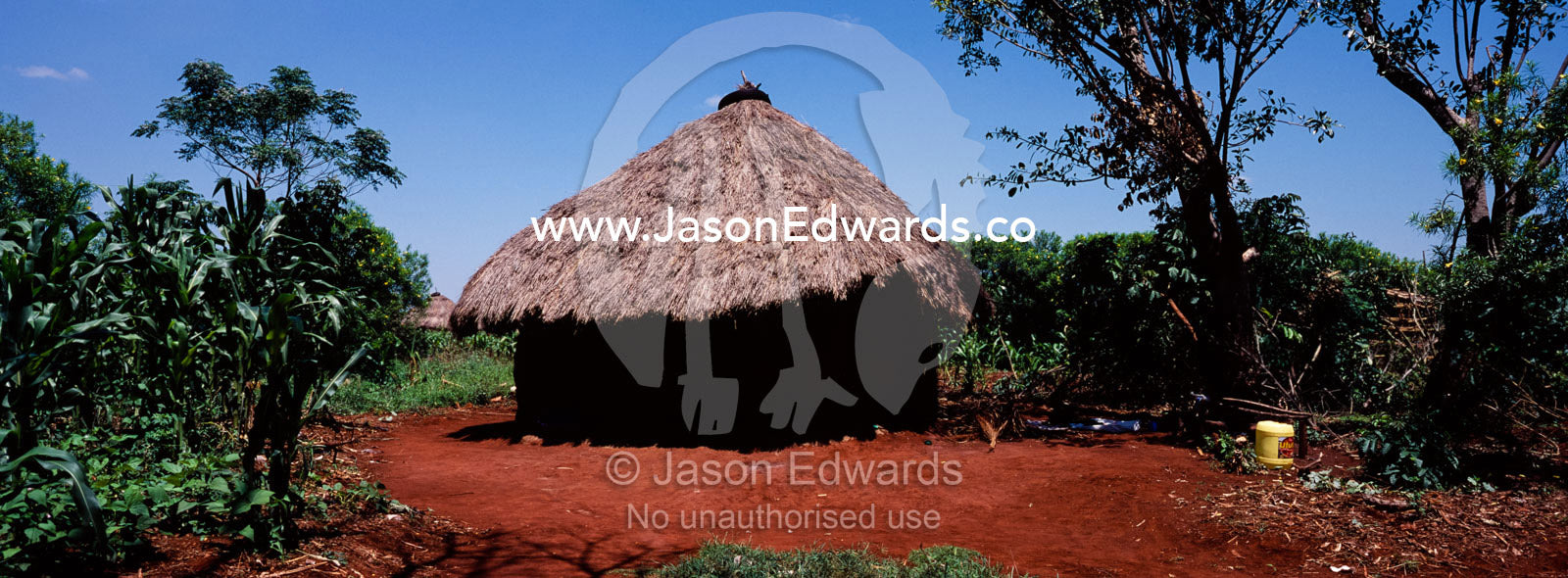 A traditional African mud hut with thatched roof and vegetable garden. Tororo District, Uganda.