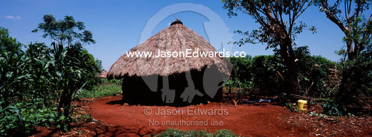 A traditional African mud hut with thatched roof and vegetable garden. Tororo District, Uganda.