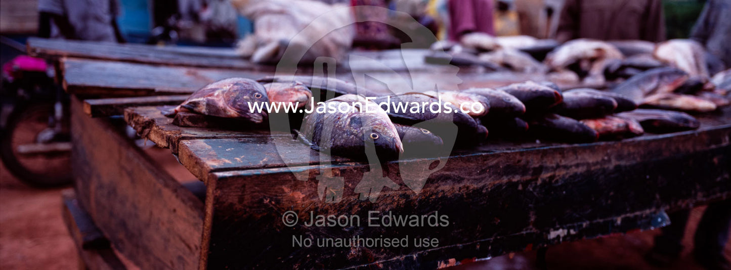 Nile tilapia fish for sale at an open air market by Lake Victoria. Lake Victoria, Kampala, Uganda.