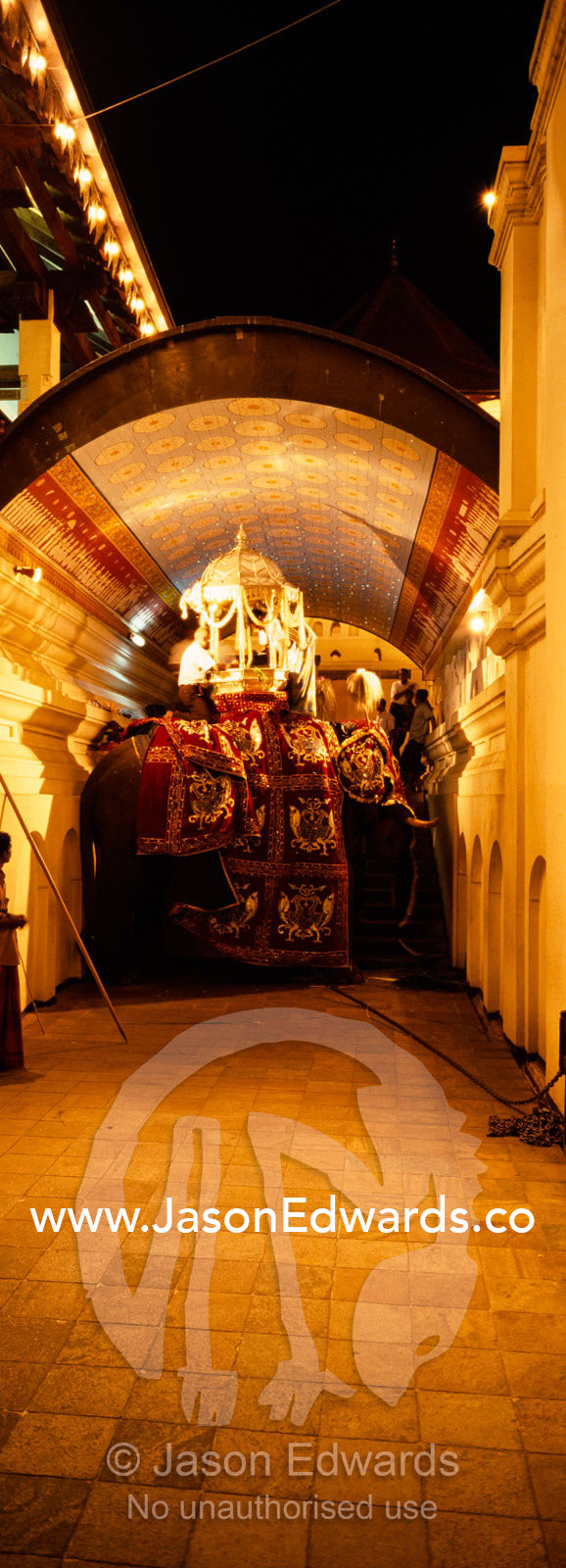 The Maligawa Tusker wearing silk and lights to carry the Holy Relic. Kandy, Sri Lanka.