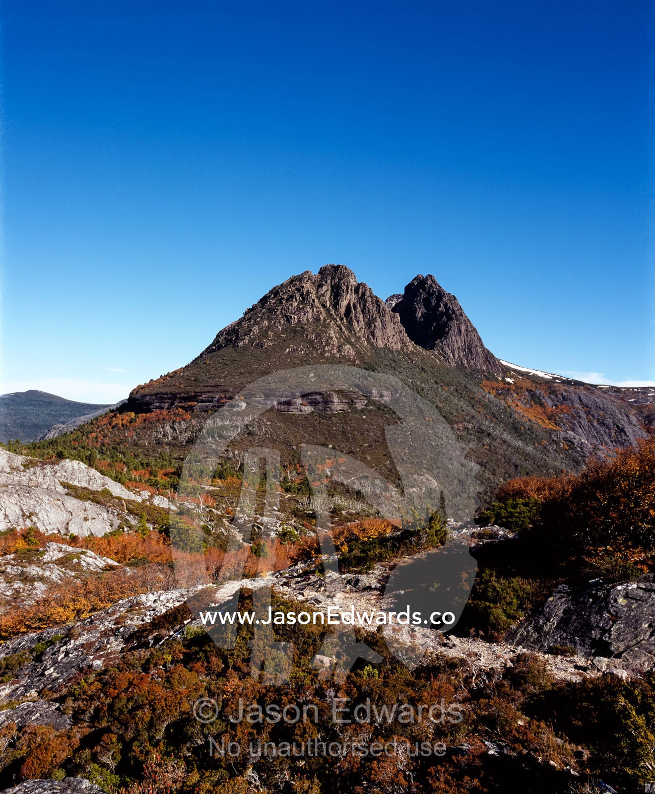 Rugged crags overlook ancient stands of deciduous beech in fall. Cradle Mountain and Lake St. Clair National Park, Tasmania, Australia.