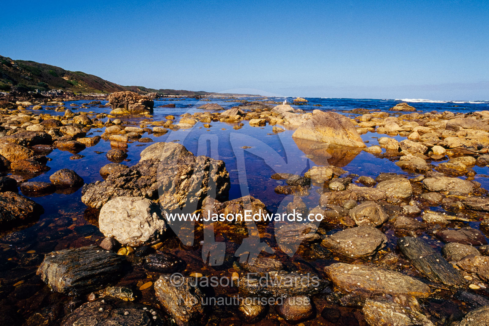 Tidal pools fill the rocky foreshore along a remote coastline. South West Conservation Area, Tasmania, Australia.