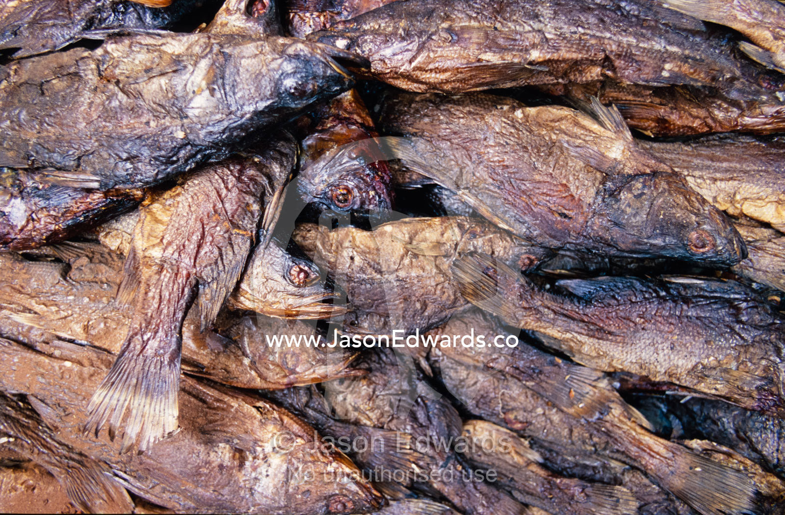 A collection of smoked and dried lake fish in an East African market. Tororo District, Uganda.