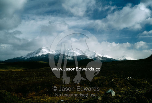 The vast Altiplano rises to the Andes mountain range in southern Chile Torres del Paine National Park, Chile.