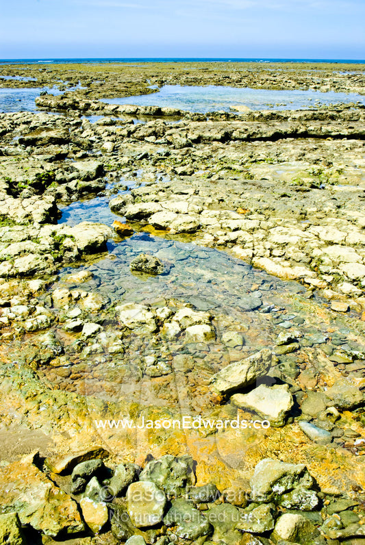 A rocky foreshore and tidal pools exposed to the sun at low tide. Cosy Corner, Torquay, Victoria, Australia.