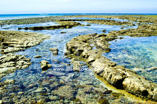 A rocky foreshore and tidal pools exposed to the sun at low tide. Cosy Corner, Torquay, Victoria, Australia.