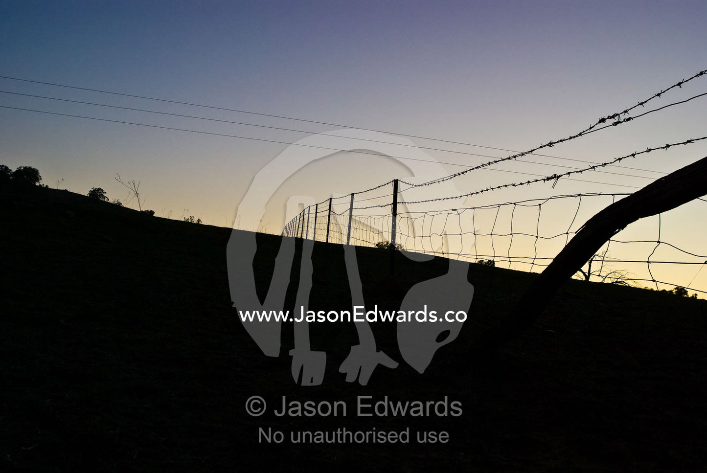 A barbwire farm fence climbs a steep rise in the pre-dawn light. Albury, New South Wales, Australia.