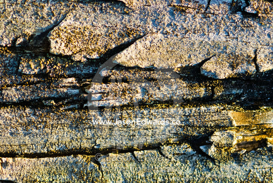 Textured surface of a lichen encrusted boardwalk on a coastal trail. Mornington National Park, Victoria, Australia.