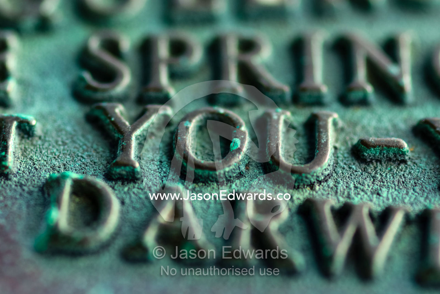 Raised brass letters on a geographical marker feature the word you. Mornington National Park, Victoria, Australia.