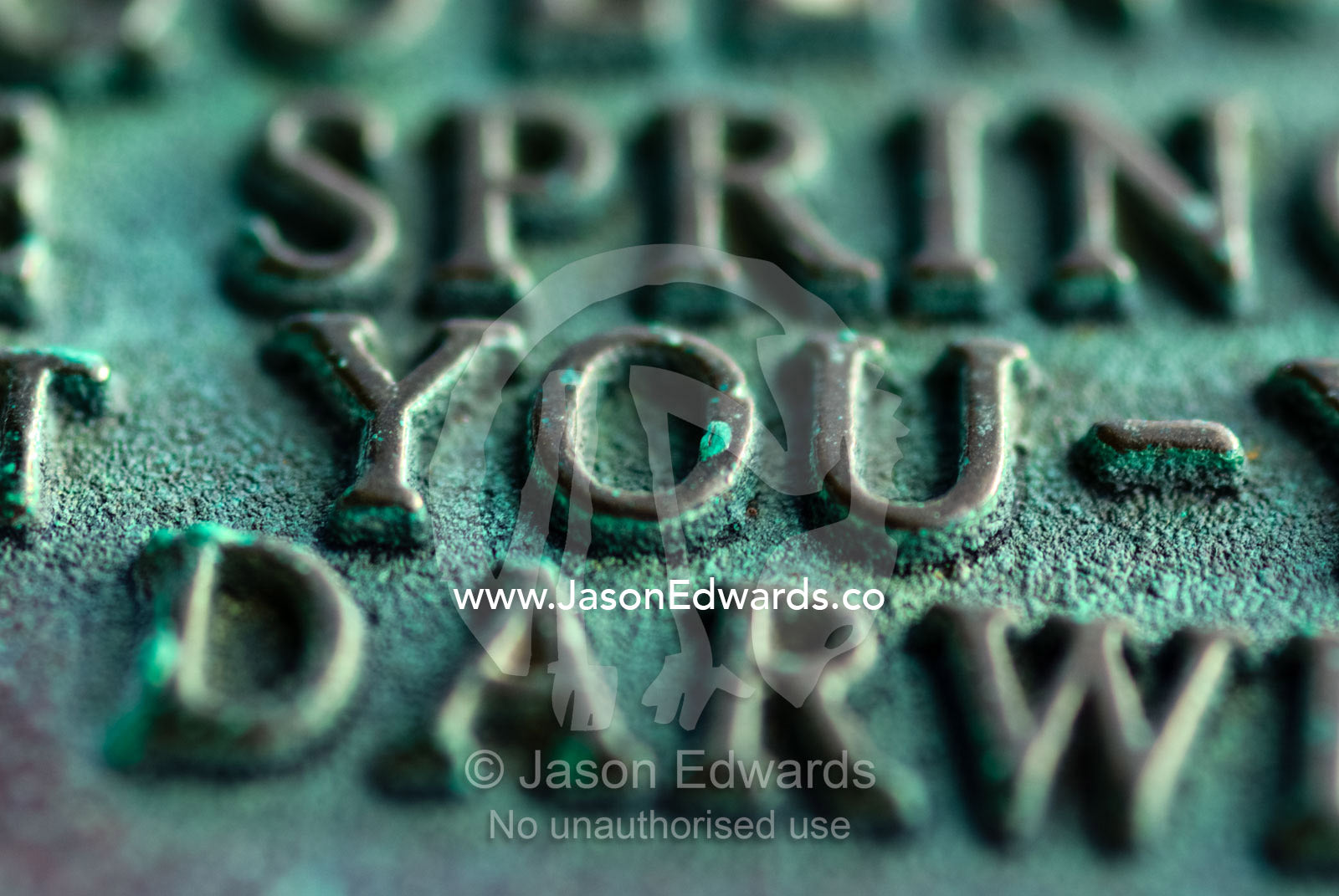 Raised brass letters on a geographical marker feature the word you. Mornington National Park, Victoria, Australia.