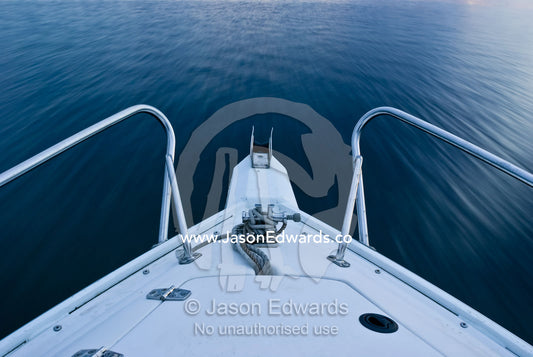 The bow of a speed boat races over the calm surface of a lake. Raymond Island, East Gippsland, Victoria, Australia.