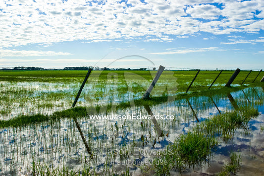 Winter rains flood agricultural fields along rich coastal farmland. near Breamlea, Victoria, Australia.