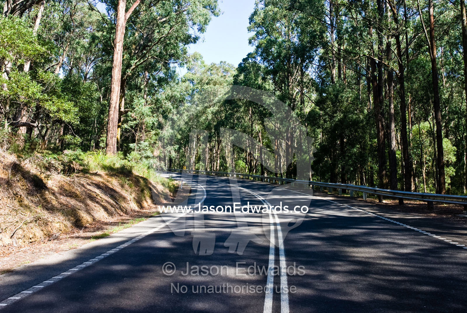 A road winds it's way around a mountainside in dappled forest light. Kinglake National Park, Victoria, Australia.