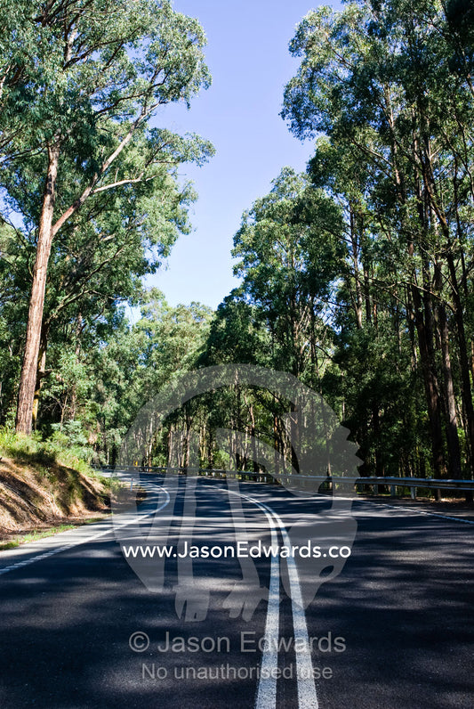 A road winds it's way around a mountainside in dappled forest light. Kinglake National Park, Victoria, Australia.