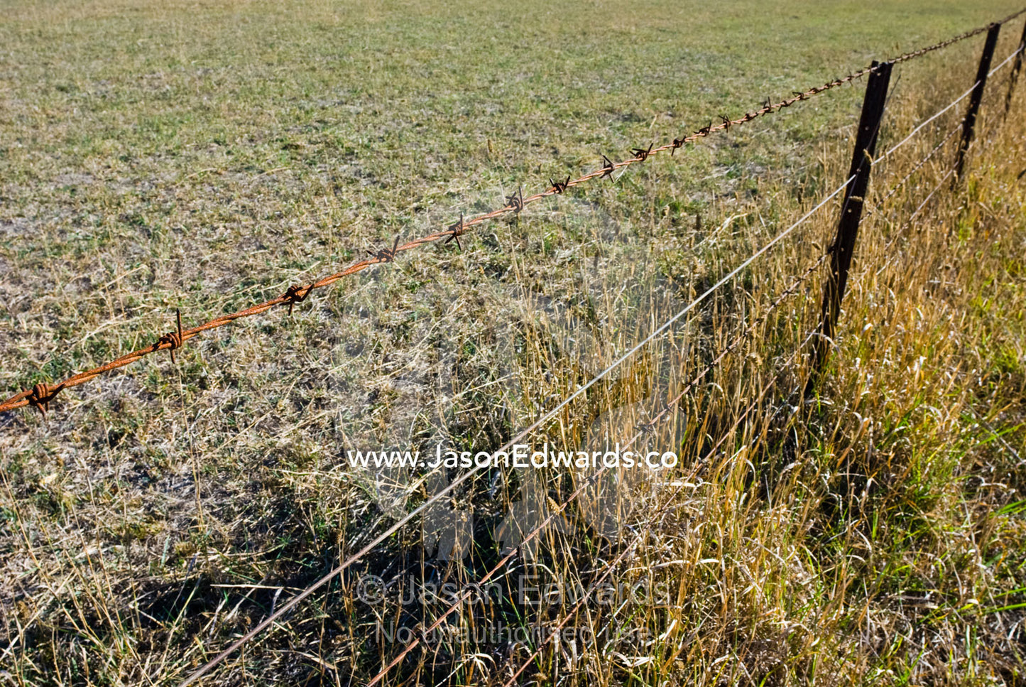 A barbwire fence prevents cattle and sheep from straying onto roads. near Yea, Victoria, Australia.