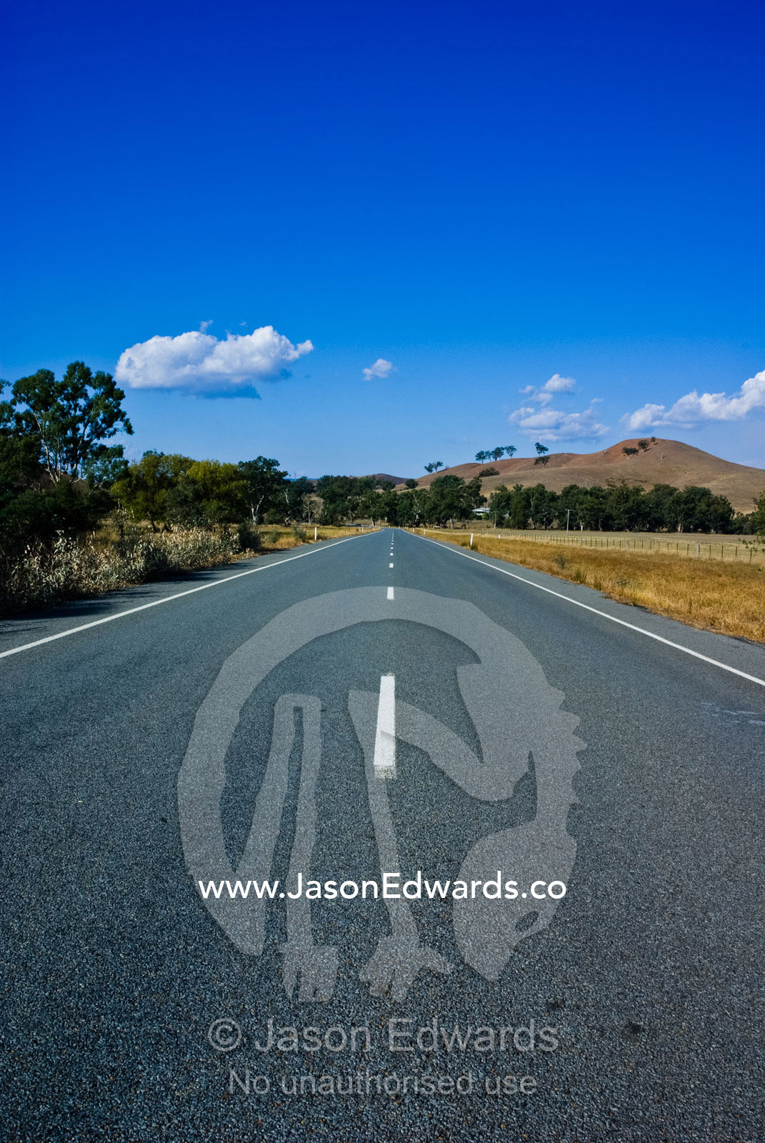 An empty country road passes through farmland and rolling hills. near Yea, Victoria, Australia.