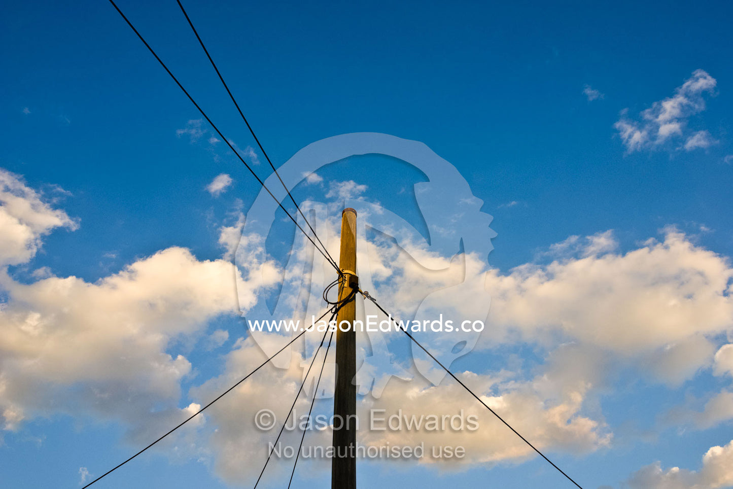 Telephone cables attached to a light pole catch the suns last rays. North Carlton, Victoria, Australia.