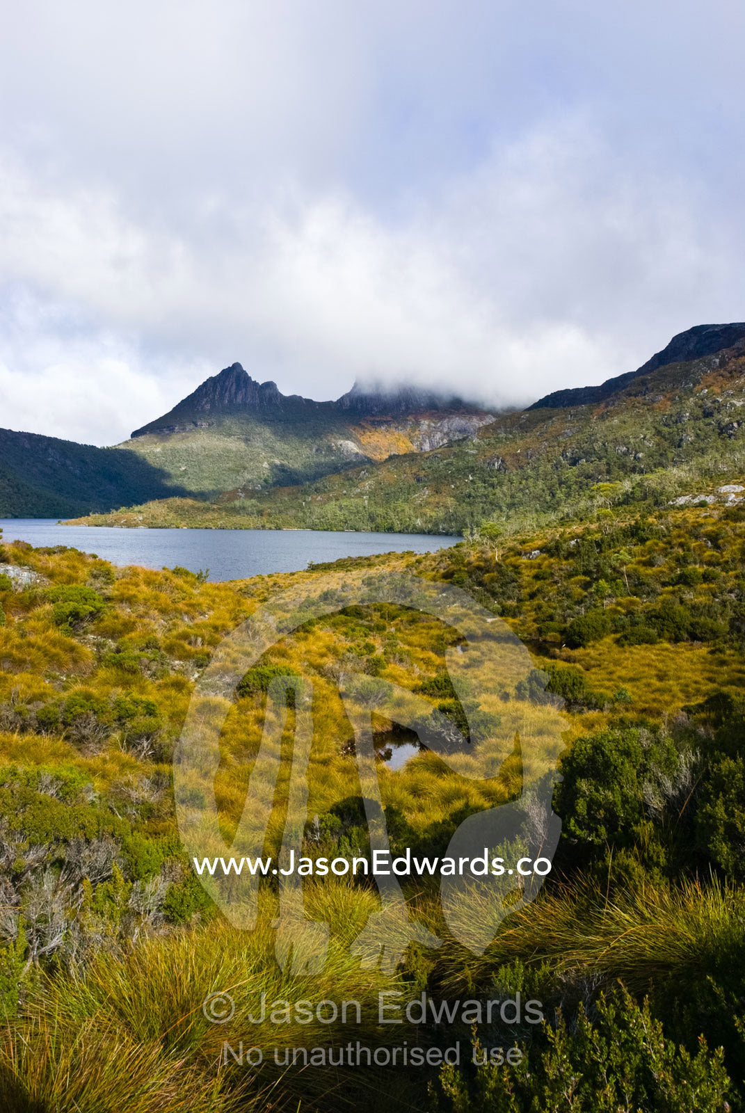 Buttongrass moorlands and glacial tarns surround rugged Dove Lake. Cradle Mountain Lake St Clair National Park, Tasmania, Australia.