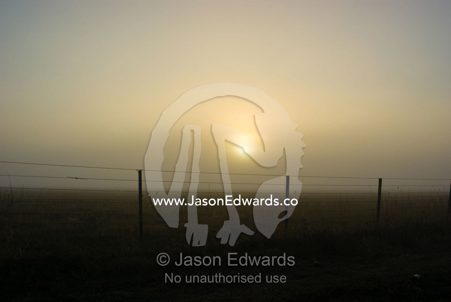 The rising sun pierces heavy fog shrouding a farm fence and field. Breamlea, Victoria, Australia.