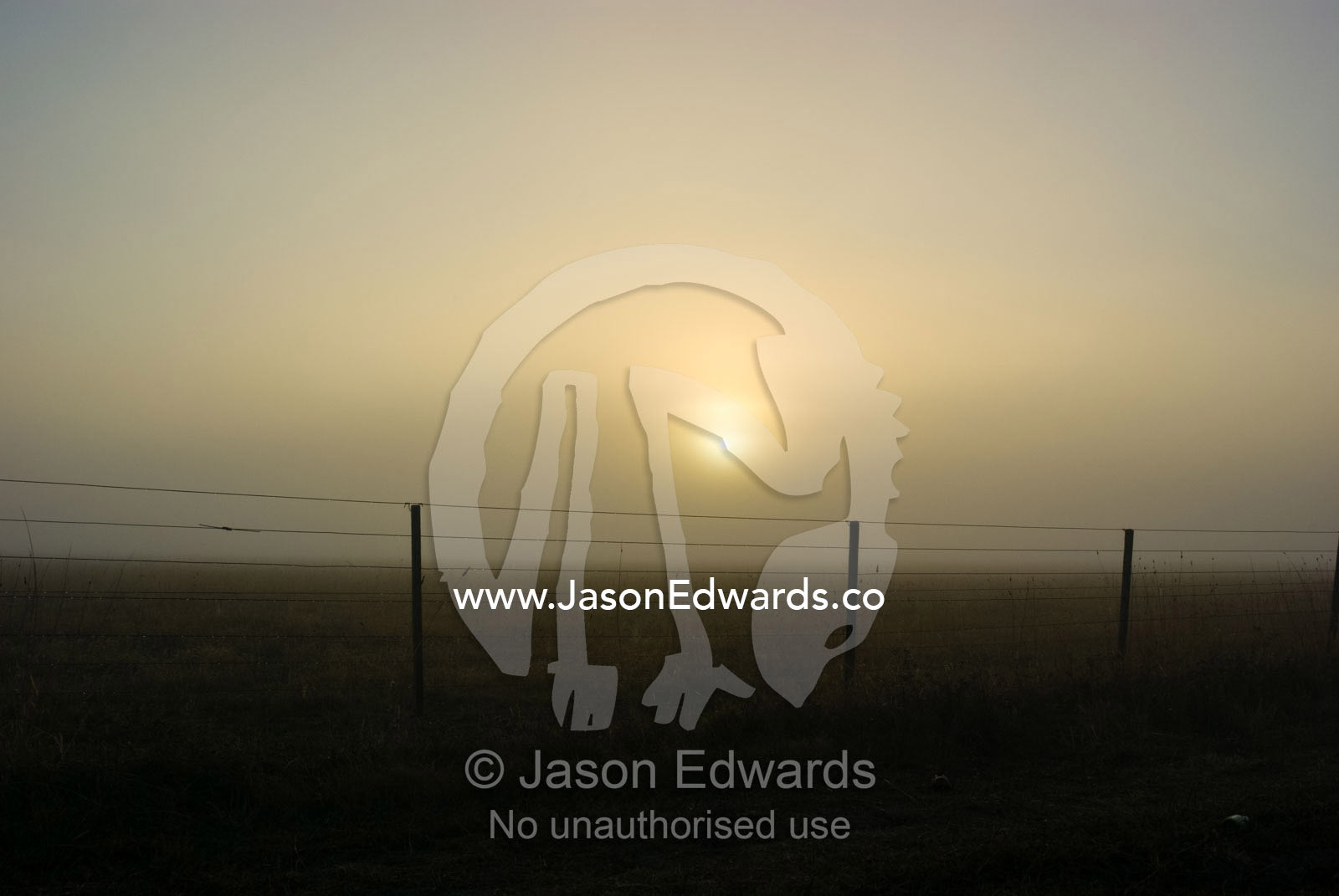 The rising sun pierces heavy fog shrouding a farm fence and field. Breamlea, Victoria, Australia.
