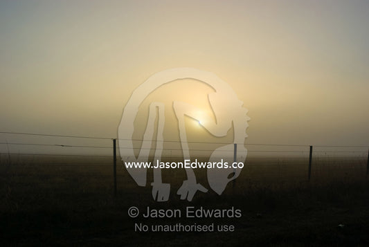 The rising sun pierces heavy fog shrouding a farm fence and field. Breamlea, Victoria, Australia.