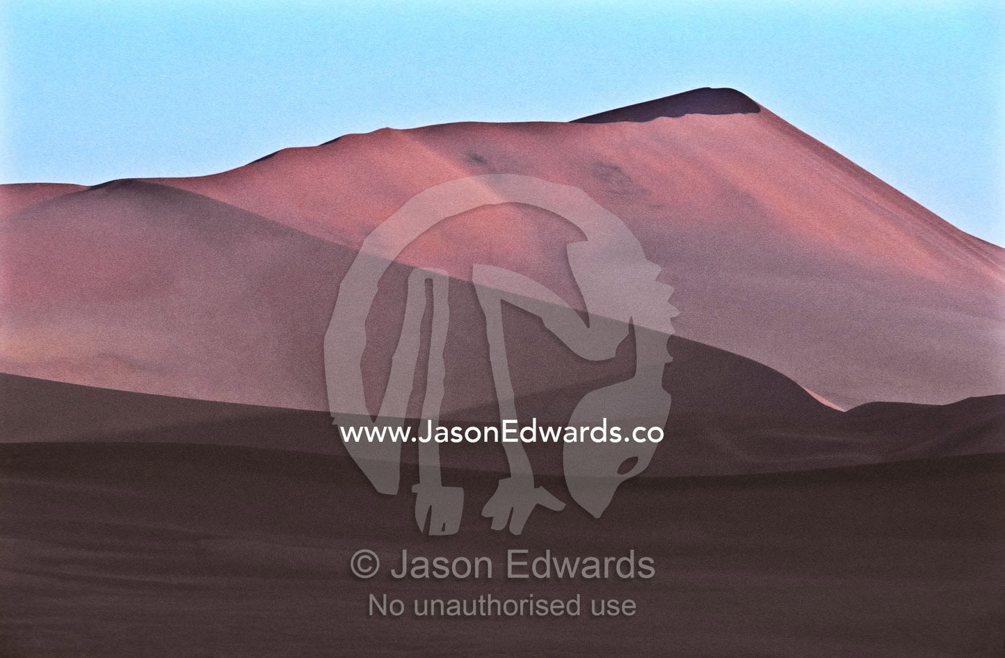 The pink hues of a vast sand dune crest against a blue sky at sunset. near Sossusvlei, Great Southern Dune Field, Namib-Naukluft National Park, Namibia.