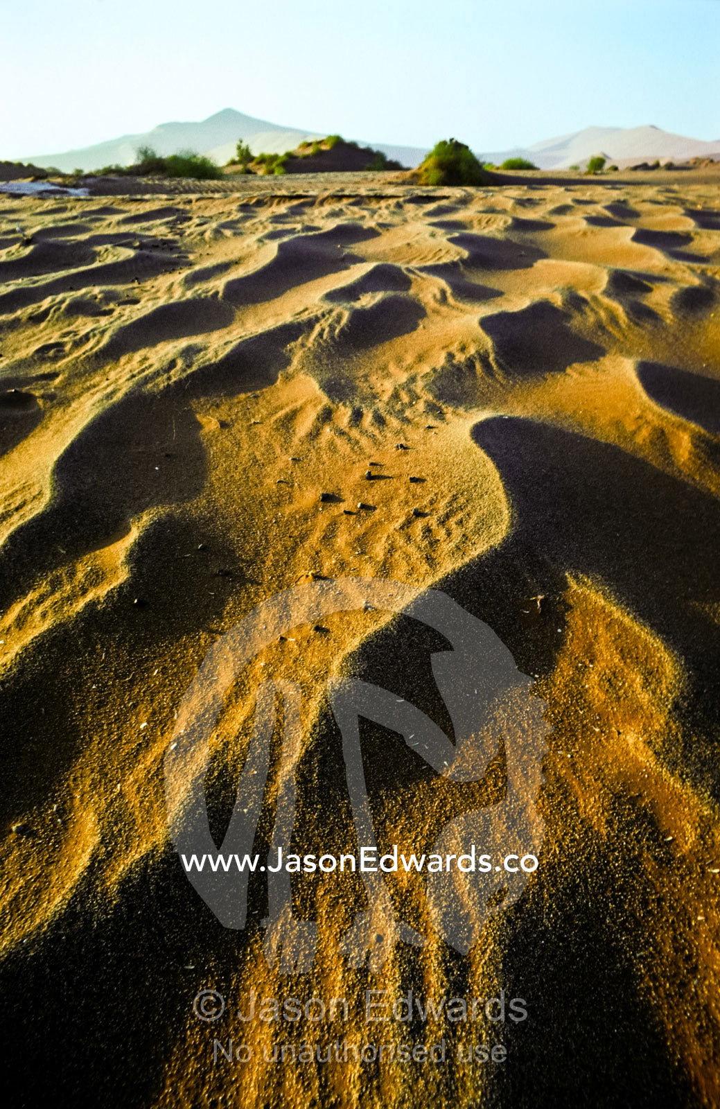 Distant dunes and a windswept rippled surface of a sandy desert floor. near Sossusvlei, Great Southern Dune Field, Namib-Naukluft National Park, Namibia.